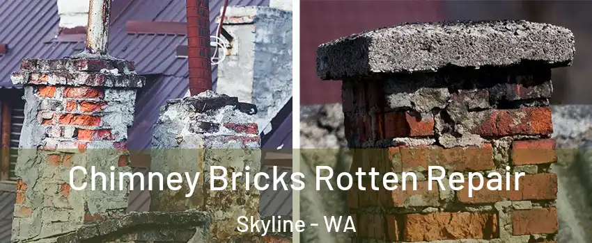 Chimney Bricks Rotten Repair Skyline - WA