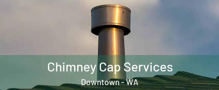 Chimney Cap Services Downtown - WA