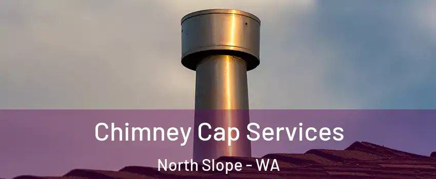 Chimney Cap Services North Slope - WA