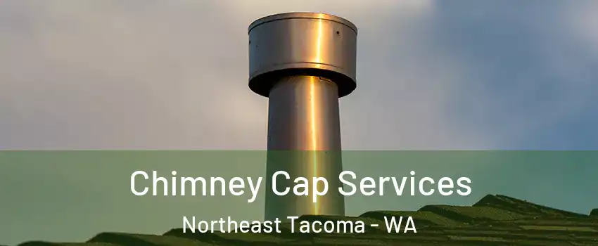 Chimney Cap Services Northeast Tacoma - WA