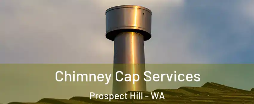 Chimney Cap Services Prospect Hill - WA