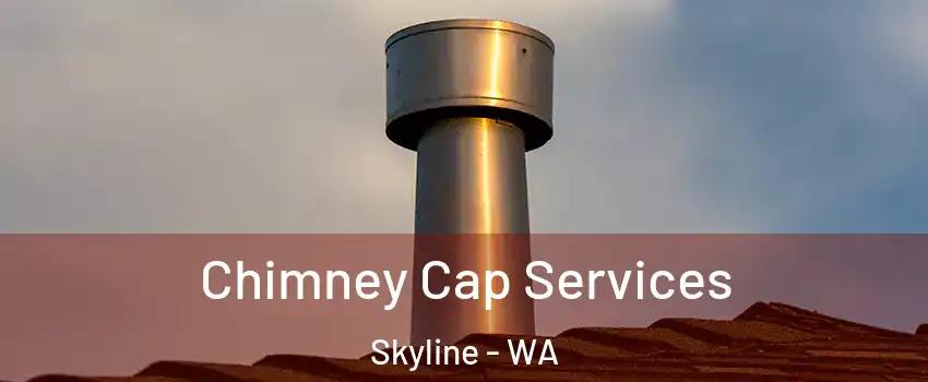 Chimney Cap Services Skyline - WA