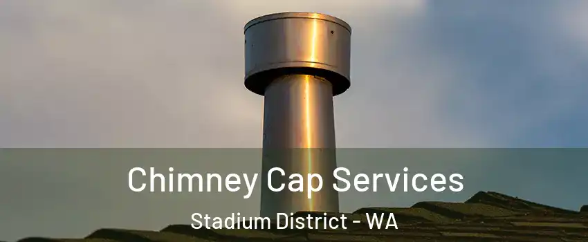 Chimney Cap Services Stadium District - WA