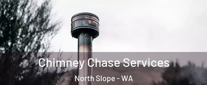 Chimney Chase Services North Slope - WA