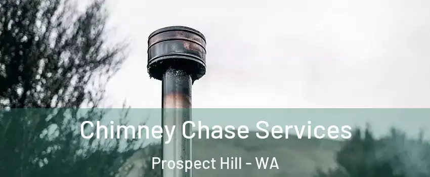 Chimney Chase Services Prospect Hill - WA