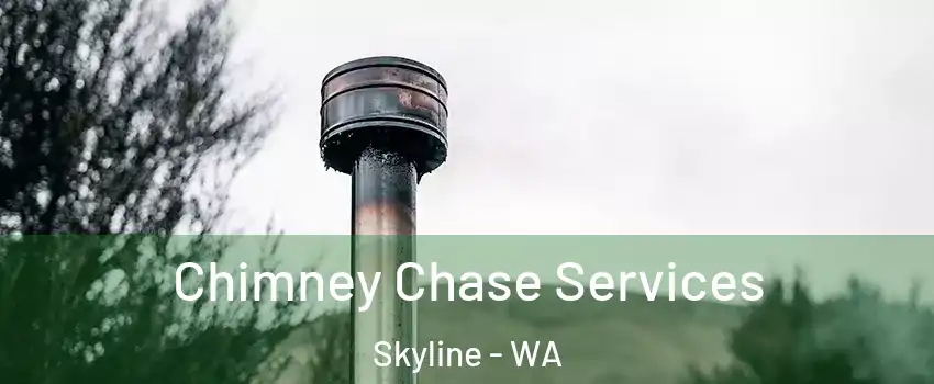 Chimney Chase Services Skyline - WA