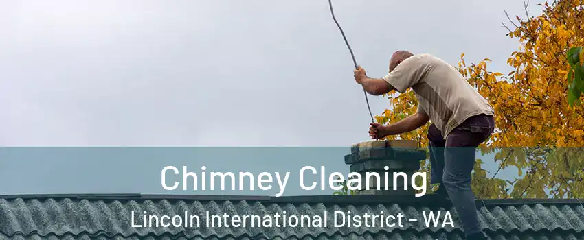 Chimney Cleaning Lincoln International District - WA