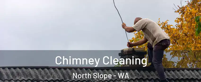 Chimney Cleaning North Slope - WA