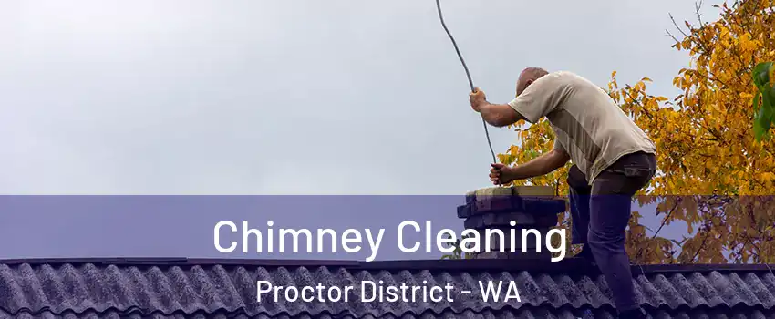 Chimney Cleaning Proctor District - WA