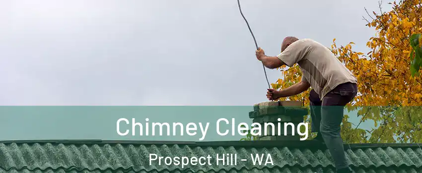 Chimney Cleaning Prospect Hill - WA