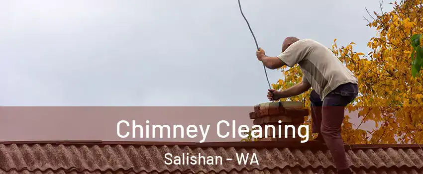 Chimney Cleaning Salishan - WA