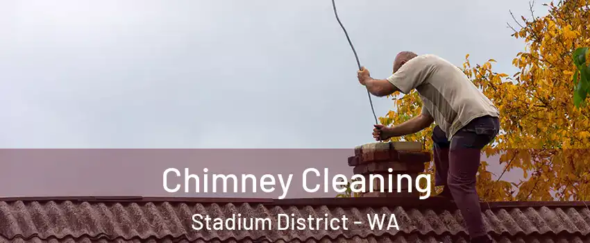 Chimney Cleaning Stadium District - WA