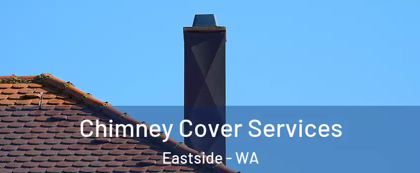 Chimney Cover Services Eastside - WA