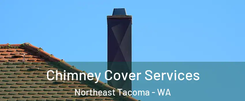 Chimney Cover Services Northeast Tacoma - WA