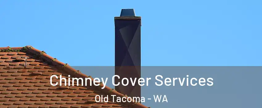 Chimney Cover Services Old Tacoma - WA