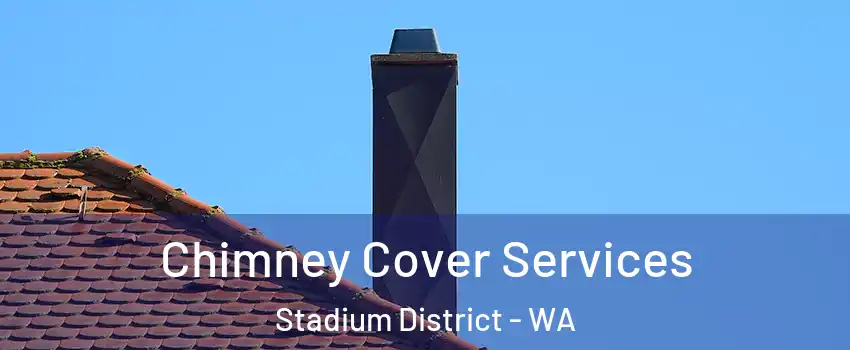 Chimney Cover Services Stadium District - WA