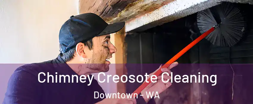 Chimney Creosote Cleaning Downtown - WA