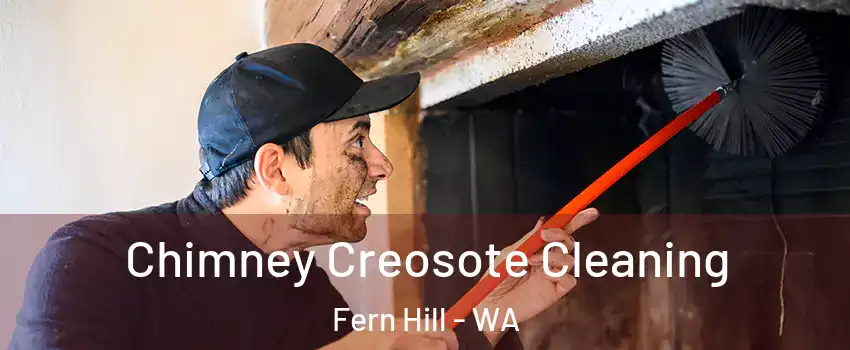 Chimney Creosote Cleaning Fern Hill - WA