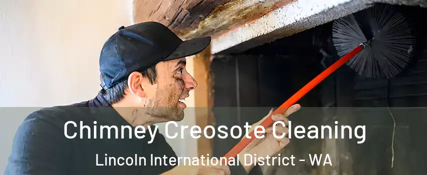 Chimney Creosote Cleaning Lincoln International District - WA