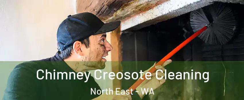 Chimney Creosote Cleaning North East - WA