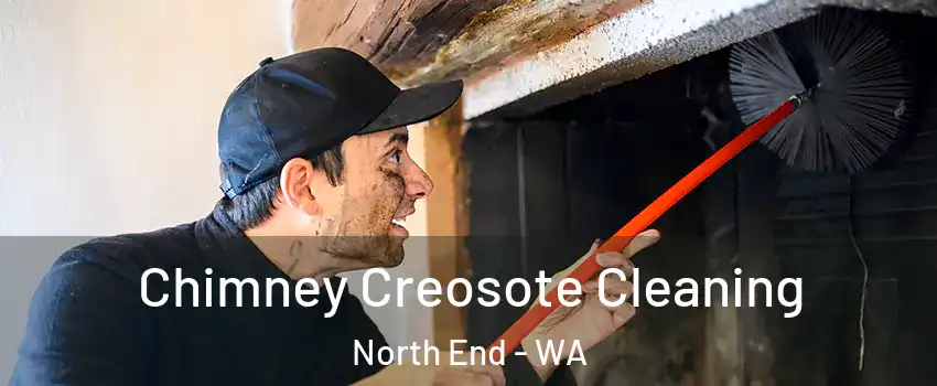 Chimney Creosote Cleaning North End - WA