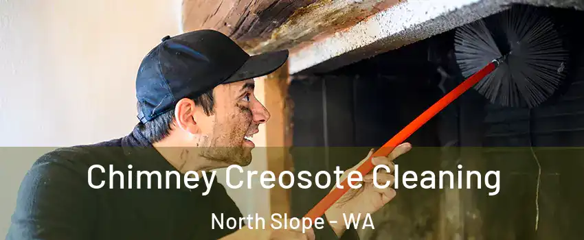 Chimney Creosote Cleaning North Slope - WA