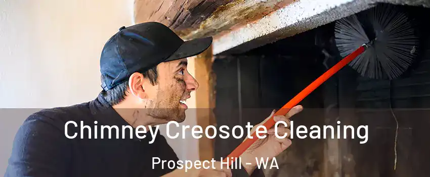 Chimney Creosote Cleaning Prospect Hill - WA