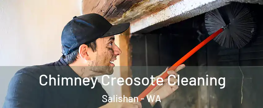 Chimney Creosote Cleaning Salishan - WA