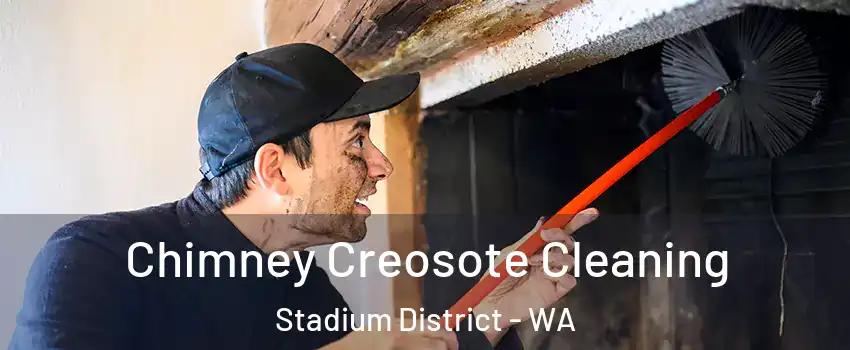 Chimney Creosote Cleaning Stadium District - WA