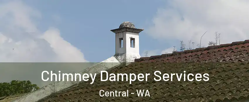 Chimney Damper Services Central - WA