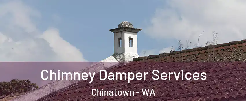 Chimney Damper Services Chinatown - WA