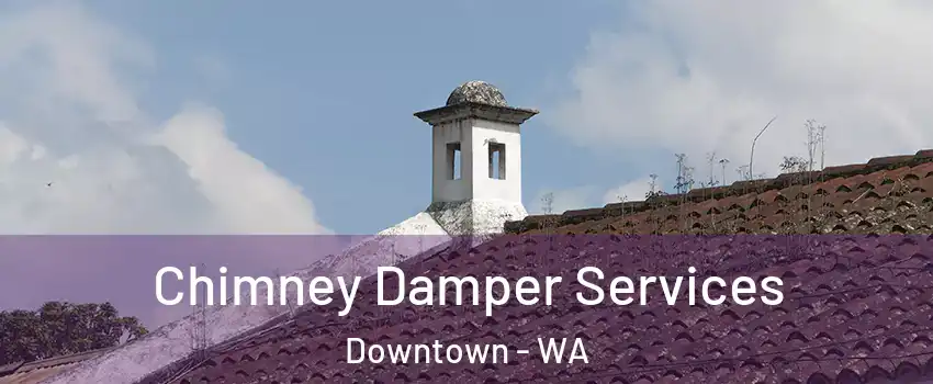 Chimney Damper Services Downtown - WA