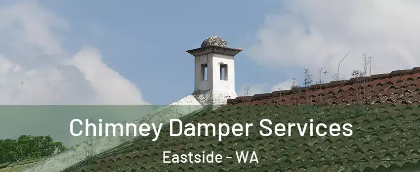 Chimney Damper Services Eastside - WA