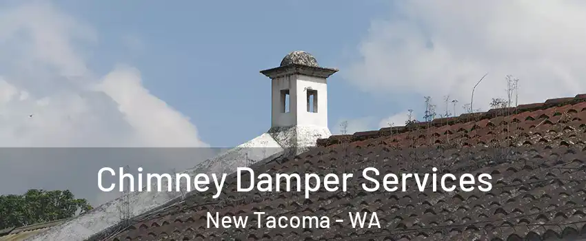 Chimney Damper Services New Tacoma - WA