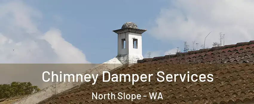 Chimney Damper Services North Slope - WA