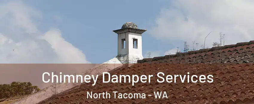 Chimney Damper Services North Tacoma - WA