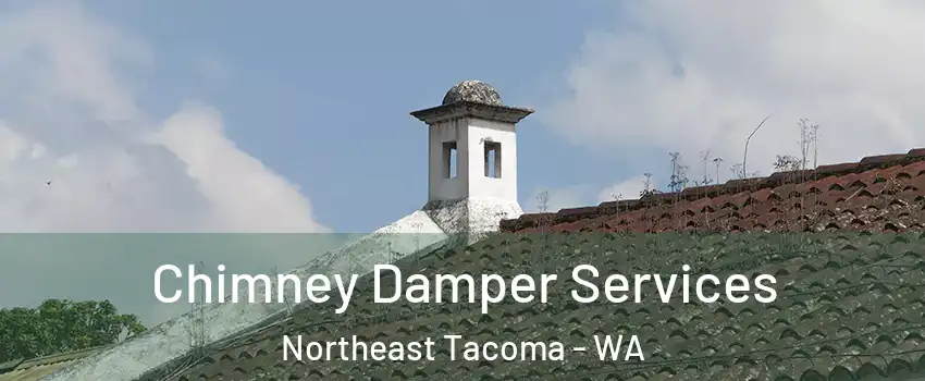 Chimney Damper Services Northeast Tacoma - WA