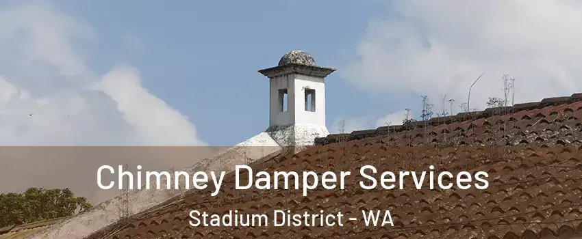 Chimney Damper Services Stadium District - WA