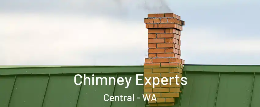 Chimney Experts Central - WA