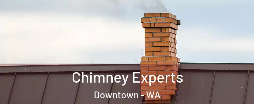 Chimney Experts Downtown - WA