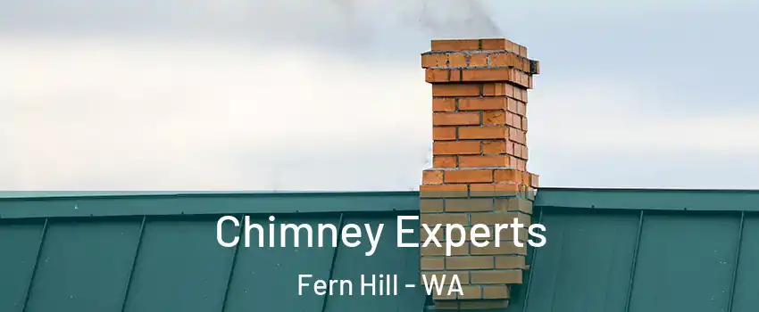 Chimney Experts Fern Hill - WA