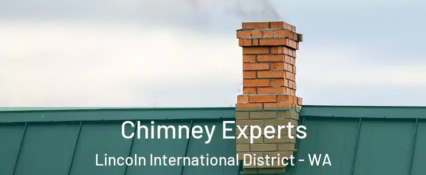 Chimney Experts Lincoln International District - WA