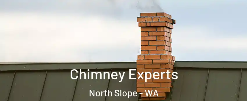 Chimney Experts North Slope - WA