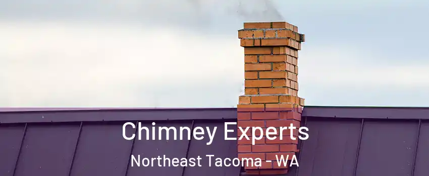 Chimney Experts Northeast Tacoma - WA