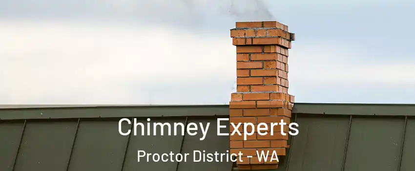 Chimney Experts Proctor District - WA