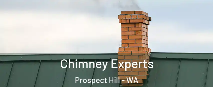 Chimney Experts Prospect Hill - WA