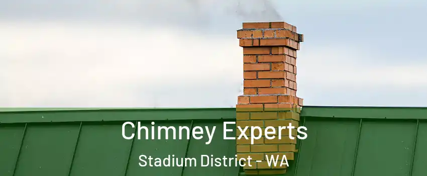 Chimney Experts Stadium District - WA