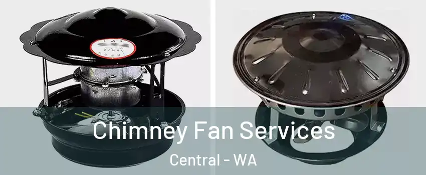 Chimney Fan Services Central - WA