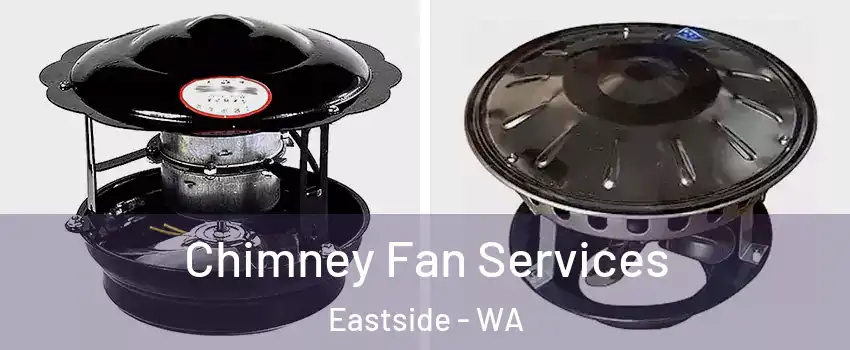 Chimney Fan Services Eastside - WA