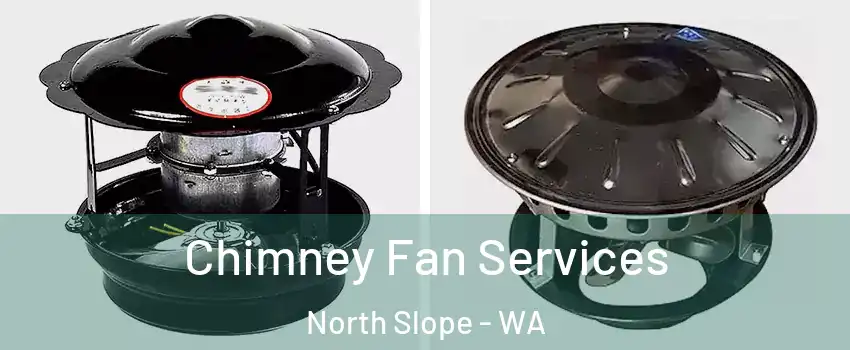 Chimney Fan Services North Slope - WA